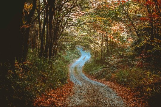 An autumn trail 