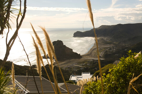 Beach Autumn aerial landscape Piha, New Zealand 