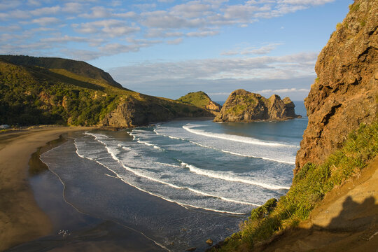 Beach Fall  landscape Piha, New Zealand 