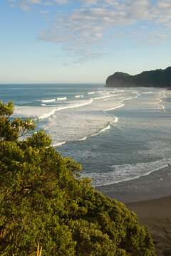  Fall  landscape Piha, New Zealand beach