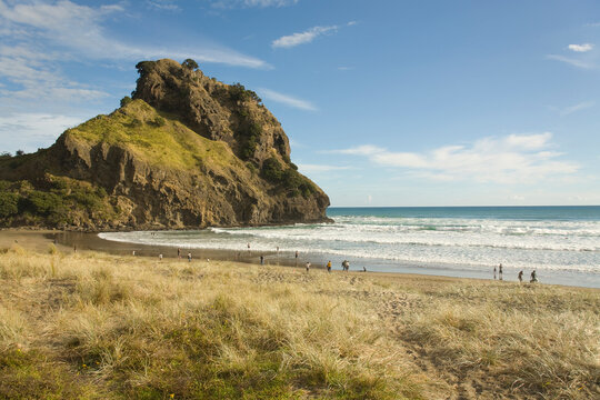 Beach Autumn landscape Piha, New Zealand 