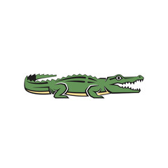 Fototapeta premium A cartoon illustration of a green alligator with its mouth open, showing its teeth, against a white background.