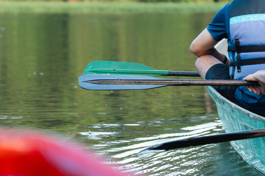 Paddles on the water