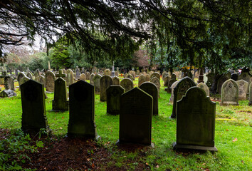Old gravestones beneath overhanging branches