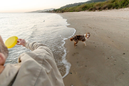 Man throwing frisbee for dog along shoreline