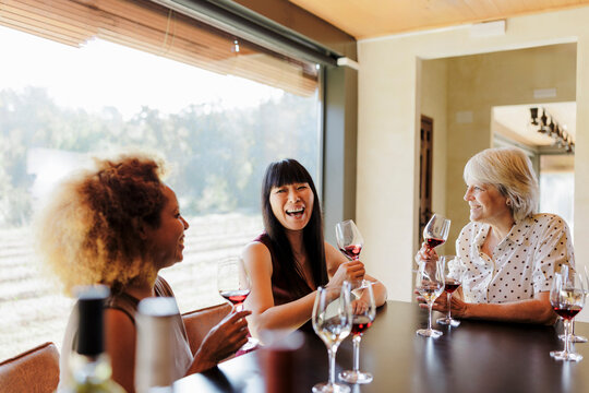 Diverse women enjoying a wine tasting experience at vineyard