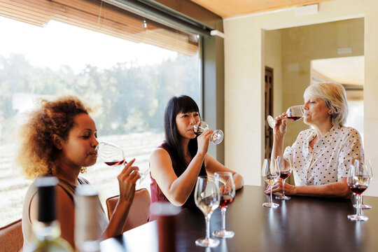 Mature women friends enjoying a private wine tasting