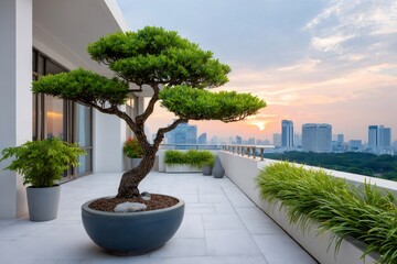 Obraz premium Bonsai tree on modern rooftop balcony overlooking cityscape at sunset