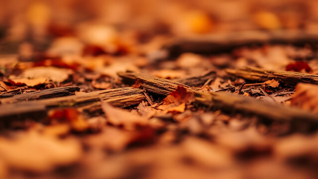 Moody macro shot of the autumn forest floor texture with fallen dry leaves and deep brown wood pieces.
