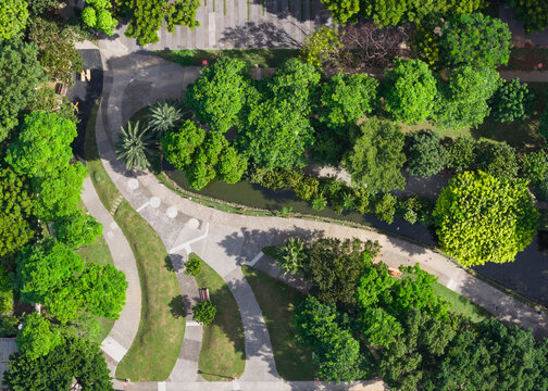 Winding Pathways in Lush Green Urban Park Landscape