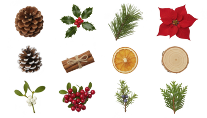 Collection of christmas and winter holiday decoration elements isolated on transparent background for crafting and design