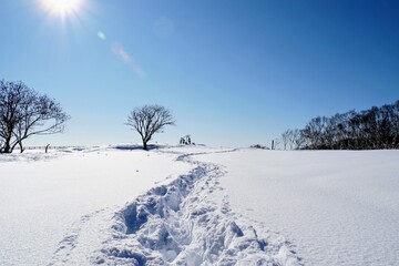 雪原の一本道を歩く-Walking along a lone path through the snowy plain-