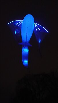  Outdoor event in Riga, Latvia, on November 18, 2025. Fish-shaped kites with colorful illumination in the night sky. Staro Rīga. 