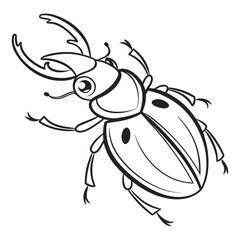 Black Line Art Stag Beetle on White Background insect