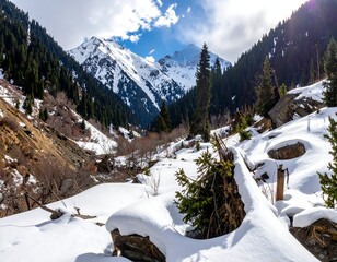 Snowy mountain pass with evergreens and towering snow-capped peaks