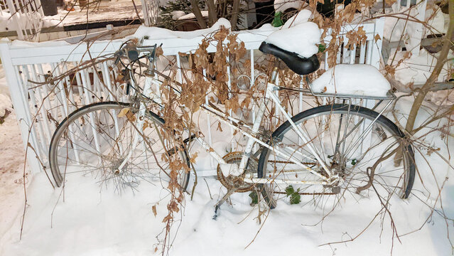 Bike left in the snow