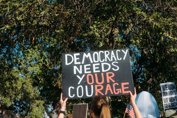 Pro Democracy Sign Political Protest 