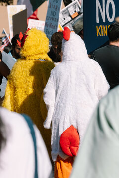Protestors in Animal Costumes During Political Rally