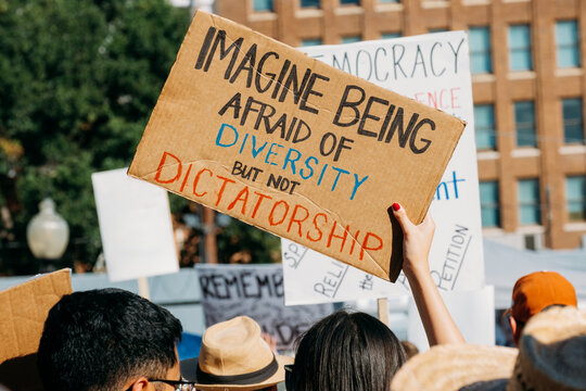 Diversity and Dictatorship Political Protest Sign USA