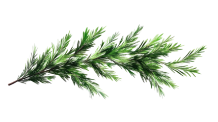 Fresh green herb sprig with vibrant leafy stem and aromatic natural texture ideal for cooking, garnish, and culinary preparation isolated on white background