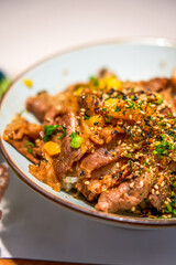 A bowl of delicious and fragrant Japanese-style grilled beef rice