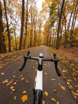 Bicycle handlebars view on forest path in autumn