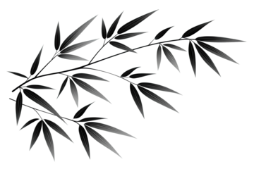 Dark bamboo leaves isolated on transparent background