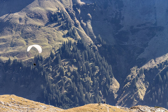 Paragliding in the alps