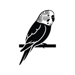 Minimalist budgerigar parrot vector icon on branch