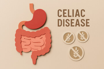 Celiac disease awareness concept with paper cut digestive system. An educational health poster showing stomach and intestine next to gluten free icons on clean, beige medical background