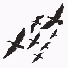 Flock of black birds flying in formation vector graphic
