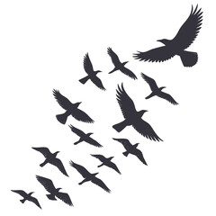 Flock of dark grey birds flying in formation silhouette
