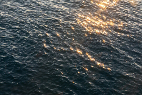 Sunlit Ocean