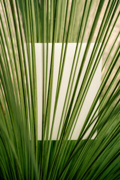 Creative Design With Blank Paper Surrounded by Green Leaves