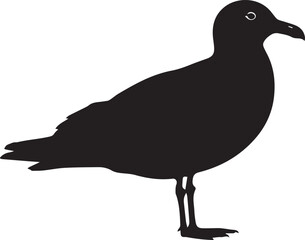 seagull or albatross gull side view silhouette vector flat illustration design