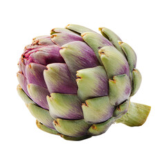 Fototapeta premium Close-up of a vibrant purple artichoke