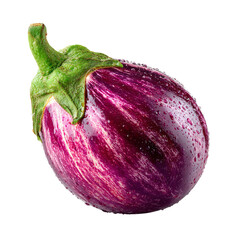 Purple striped eggplant, fresh and vibrant