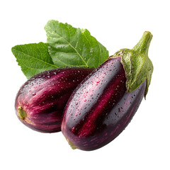 Two purple eggplants with leaves (3)