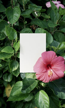 Organic photo blank card paper mockup green tropical botanical flower
