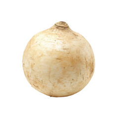 Round, pale-tan root vegetable