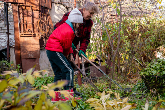 Child and an adult woman are raking leaves in the garden