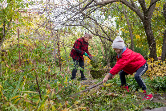 Child and an adult woman are raking leaves in the garden