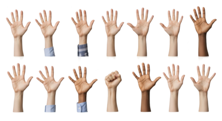 Modern diverse hands raised in unity and support concept showcasing hands, diverse, diversity aesthetic suitable for advertising or commercial visual content purpose