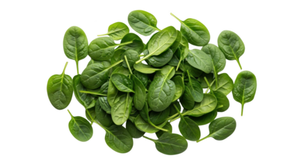 Fresh Green Spinach Leaves Pile Isolated product photography featuring spinach, leaves, green isolated on white background for stock content use