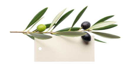 Modern fresh olive branch with ripe olives and blank tag still life photo highlighting olive, branch, leaves ideal for branding or digital marketing content
