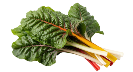 Creative fresh rainbow chard isolated on white presentation showing chard, rainbow, vegetable concept suitable for advertising or e-commerce design