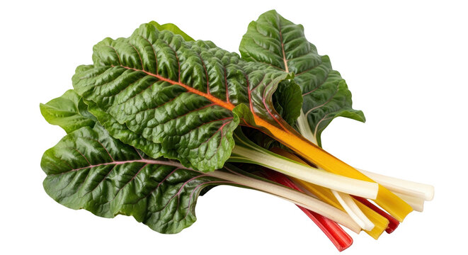 Creative fresh rainbow chard isolated on white presentation showing chard, rainbow, vegetable concept suitable for advertising or e-commerce design