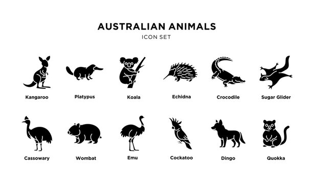 Australian animals icon set