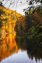 Paysage d’Automne Vibrant à l’Arboretum d’Aubonne