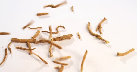 Ashwagandha or Aswaganda OR Indian Ginseng is an Ayurveda medicine in stem and powder form